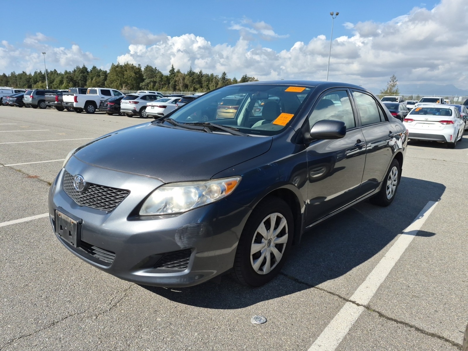 07 Corolla