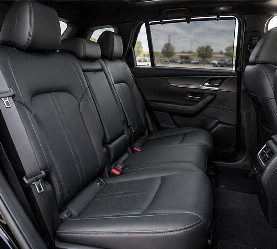 04 Cx70 Gt Rear Seats